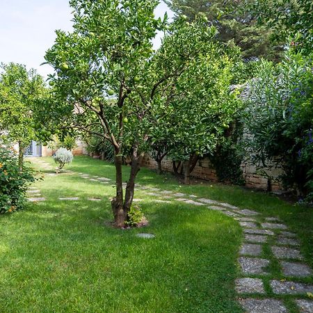 Bed and Breakfast Domus Templaris à Terlizzi Extérieur photo