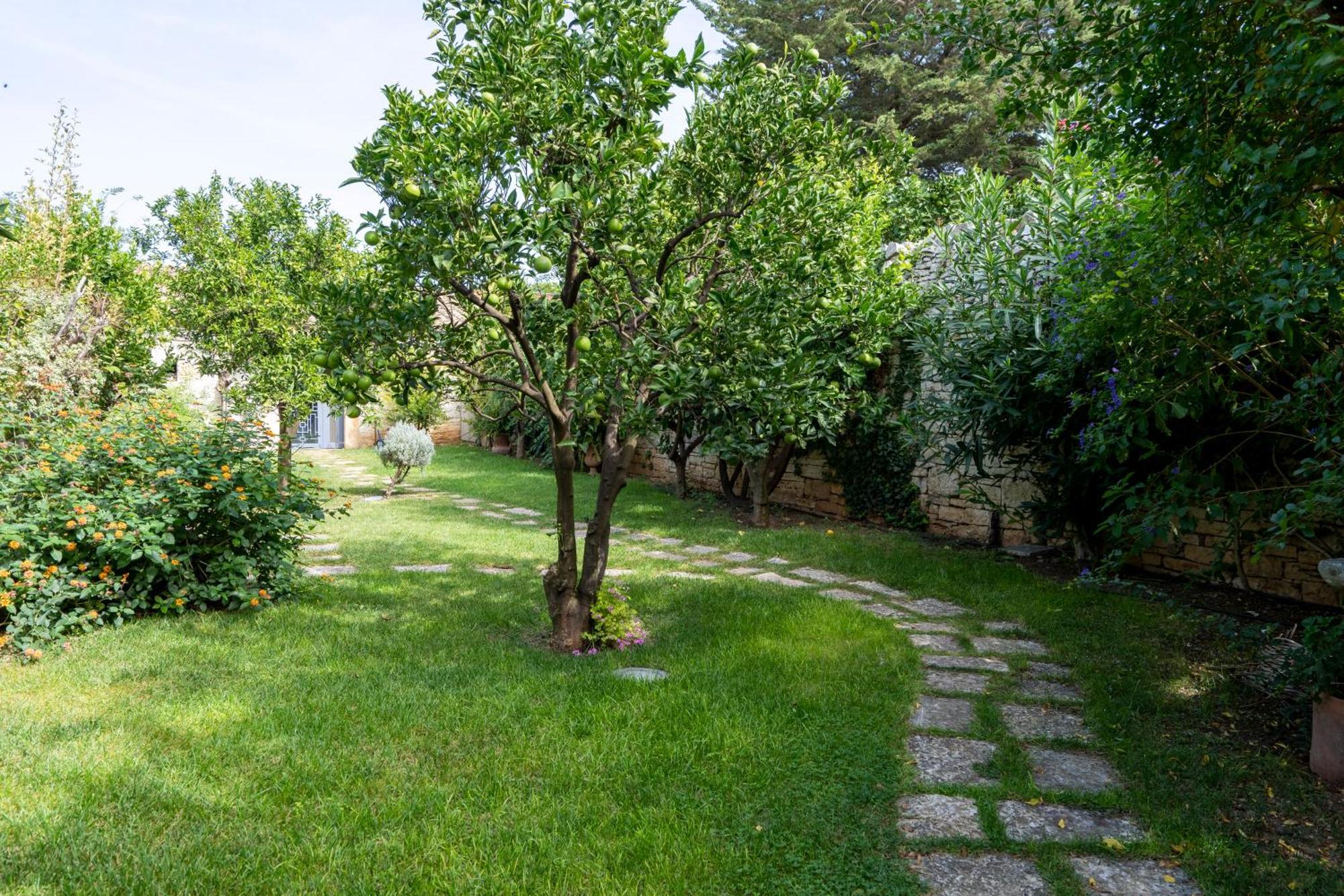 Bed and Breakfast Domus Templaris à Terlizzi Extérieur photo